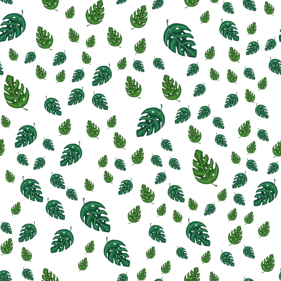 monstera tropical deja un patrón de repetición sin costuras. planta exótica. vector