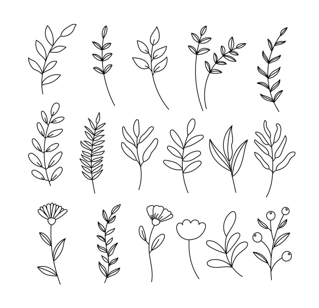 Floral branch set. Hand drawn with leaves and flowers on white background. vector