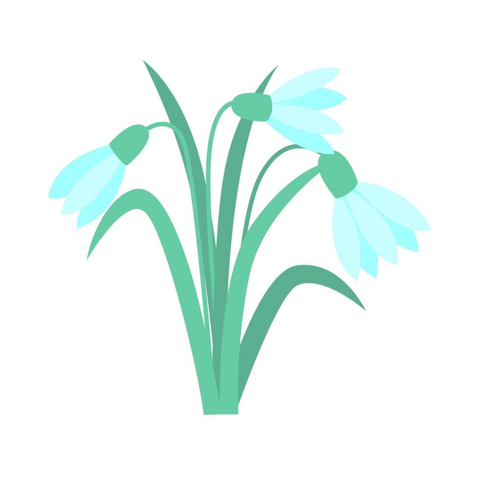 Snowdrops spring primrose isolated vector illustration