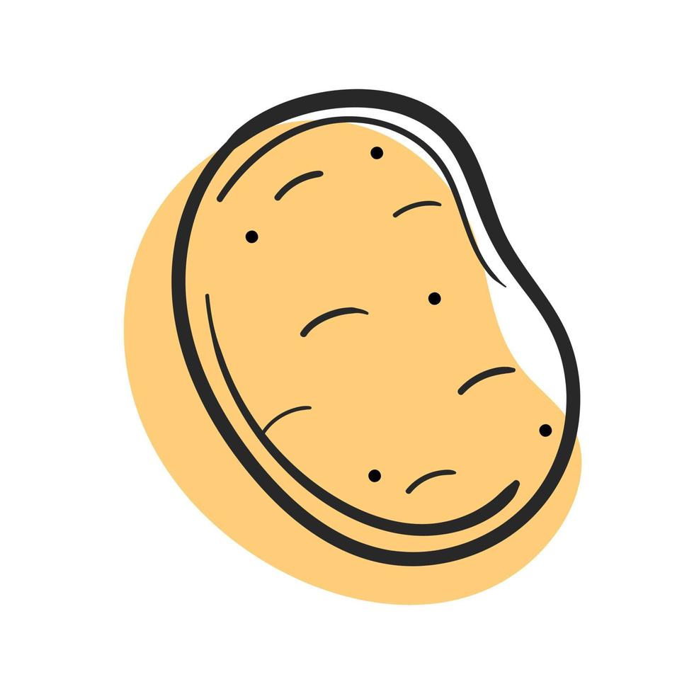 Vector potato line and abstract spot on white isolated background.