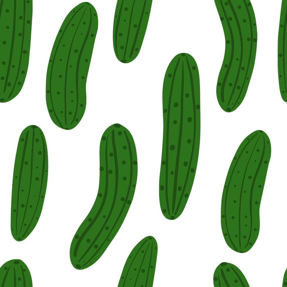 Seamless pattern with cucumber on white background. vector