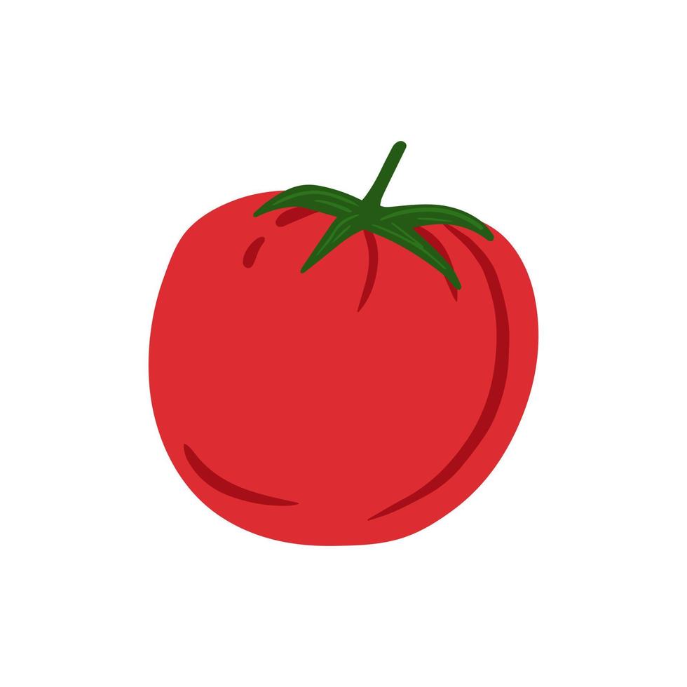 garabato, tomate, aislado, blanco, fondo. vegetales de tomates cherry dibujados a mano vector