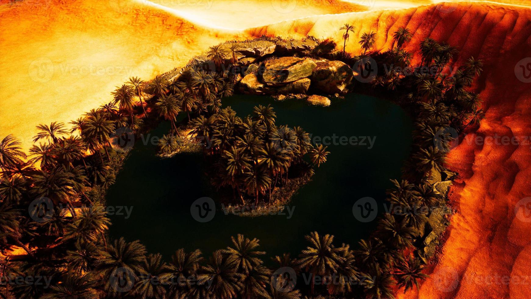 top down aerial view of oasis in desert photo