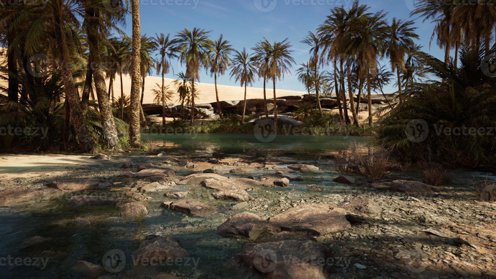 Idyllic oasis in the Sahara Desert photo