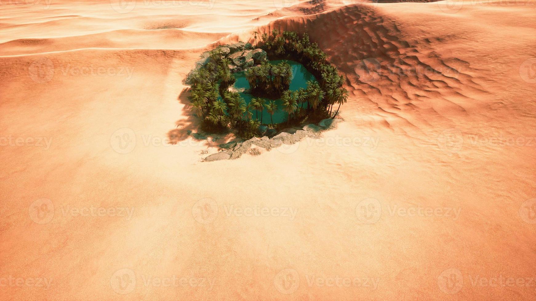 top down aerial view of oasis in desert photo