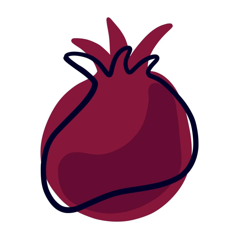 Hand drawn pomegranate isolated. vector