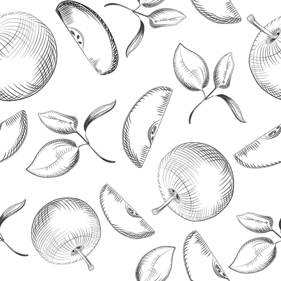Apples seamless pattern. Apple tree leaf on white background. vector