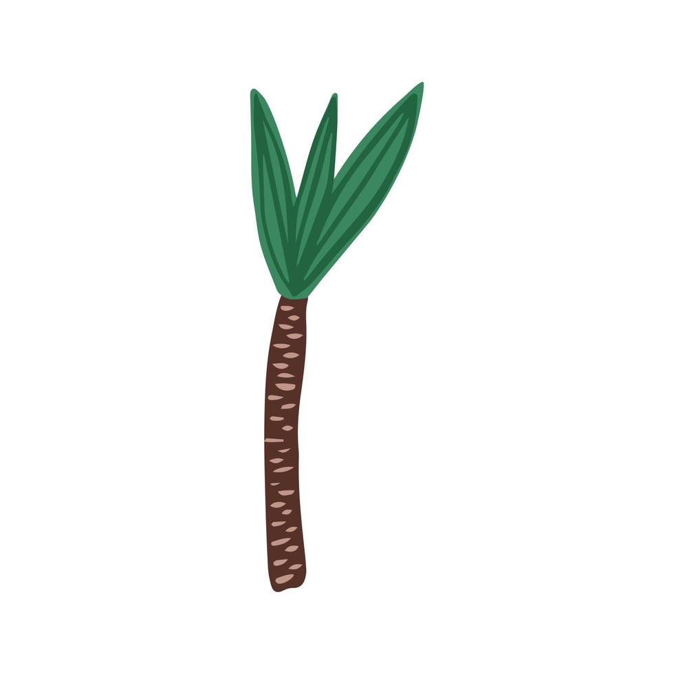 Palm tree in hand drawn style isolated on white background. vector