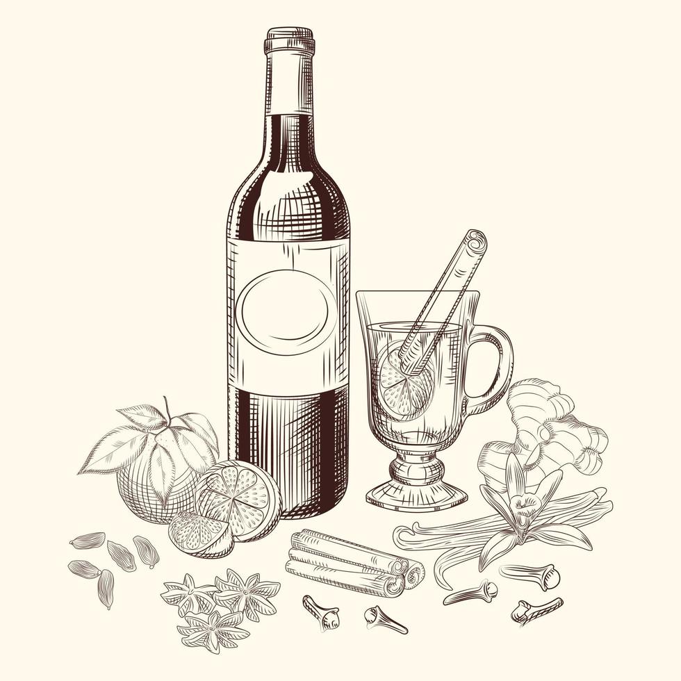 Juego de especias y vino caliente con cítricos dibujados a mano. ingredientes del vino caliente. vector