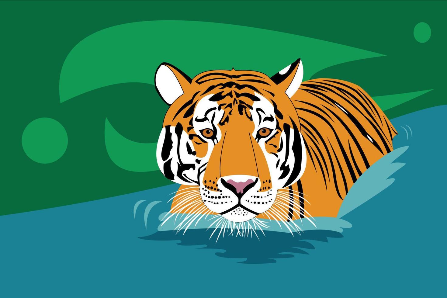 A tiger in water on a green background. vector