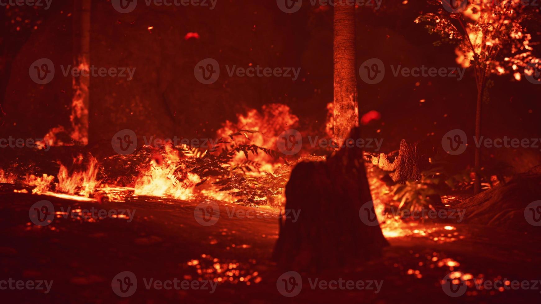 Large flames of forest fire photo