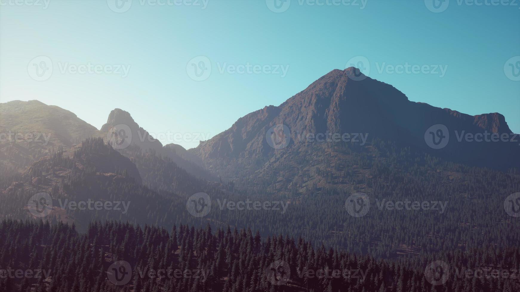 Aerial view over Mountain range with pine forest in Bavaria photo