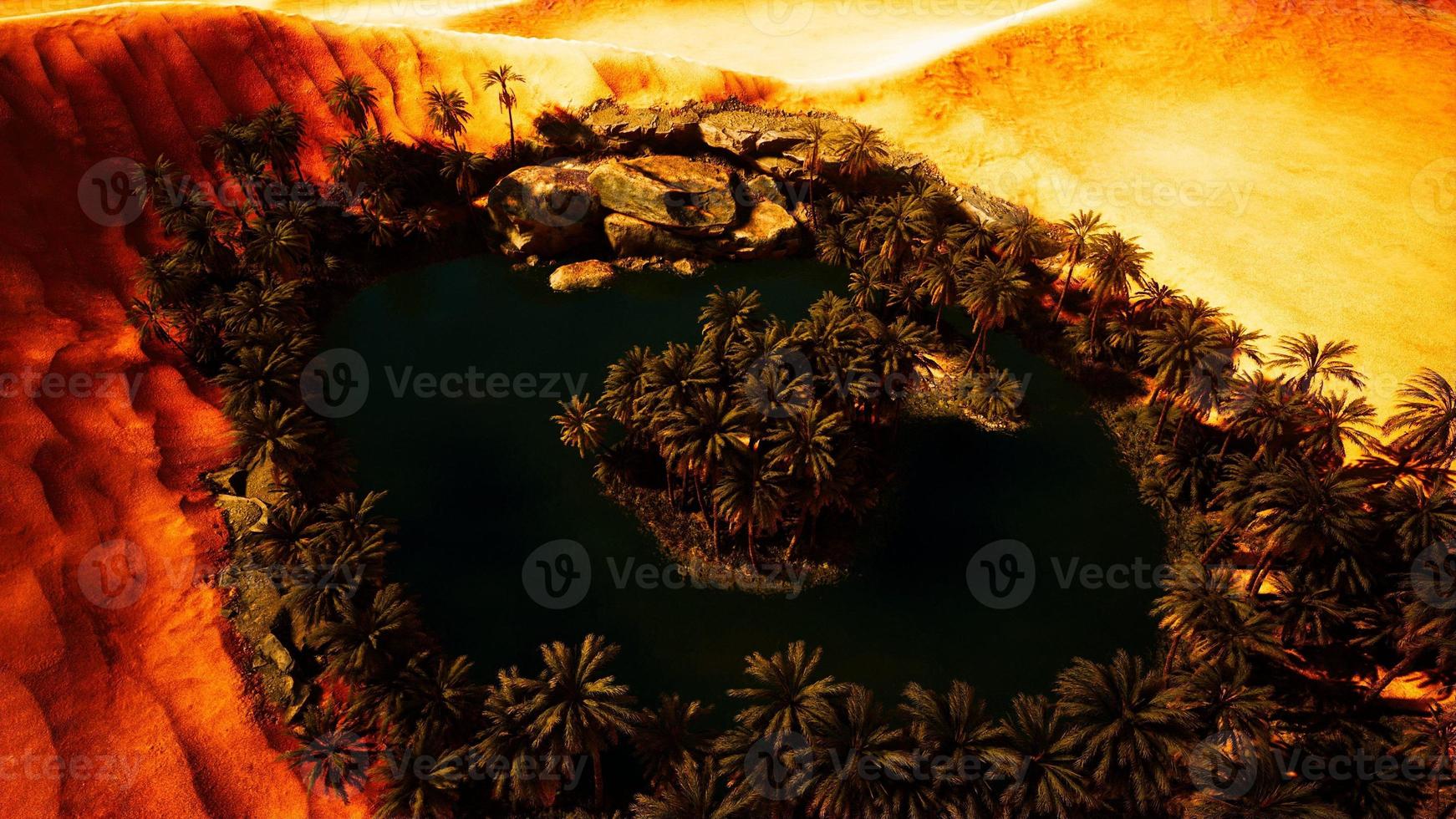 top down aerial view of oasis in desert photo