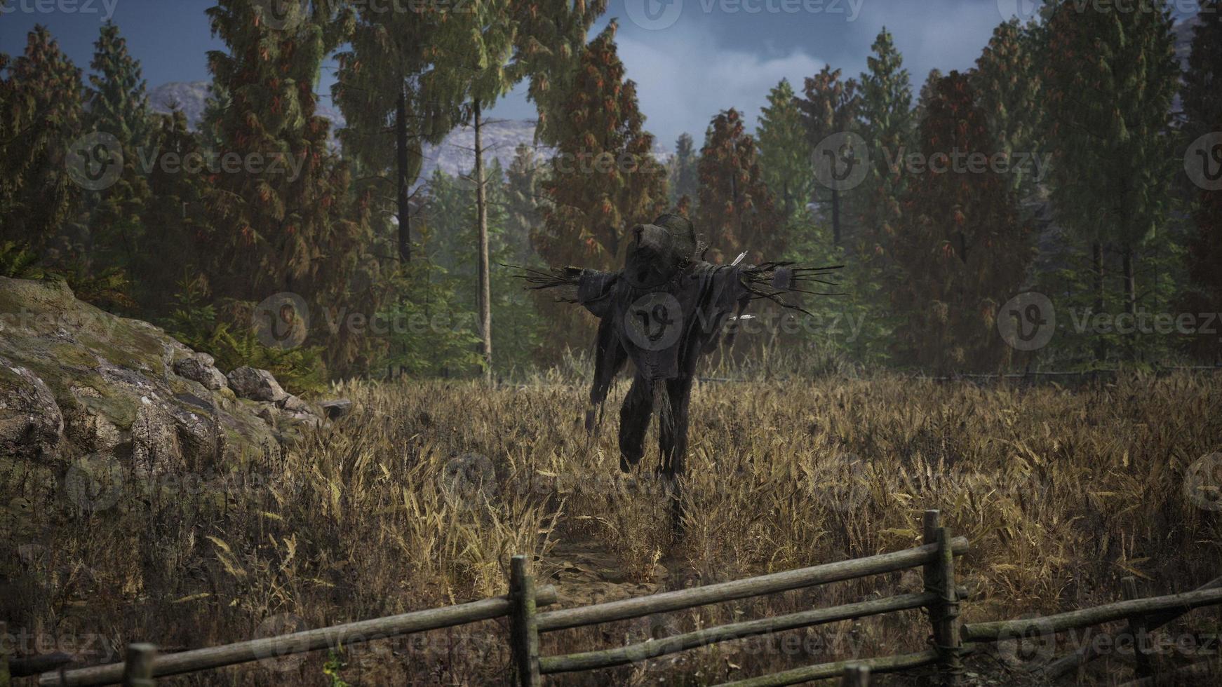 terrible scarecrow in dark cloak and dirty hat stands alone in autumn field photo