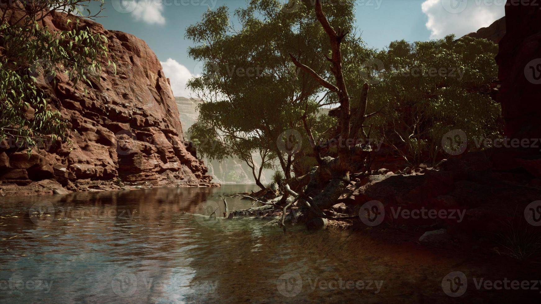 Colorado River flows through the Grand Canyon photo