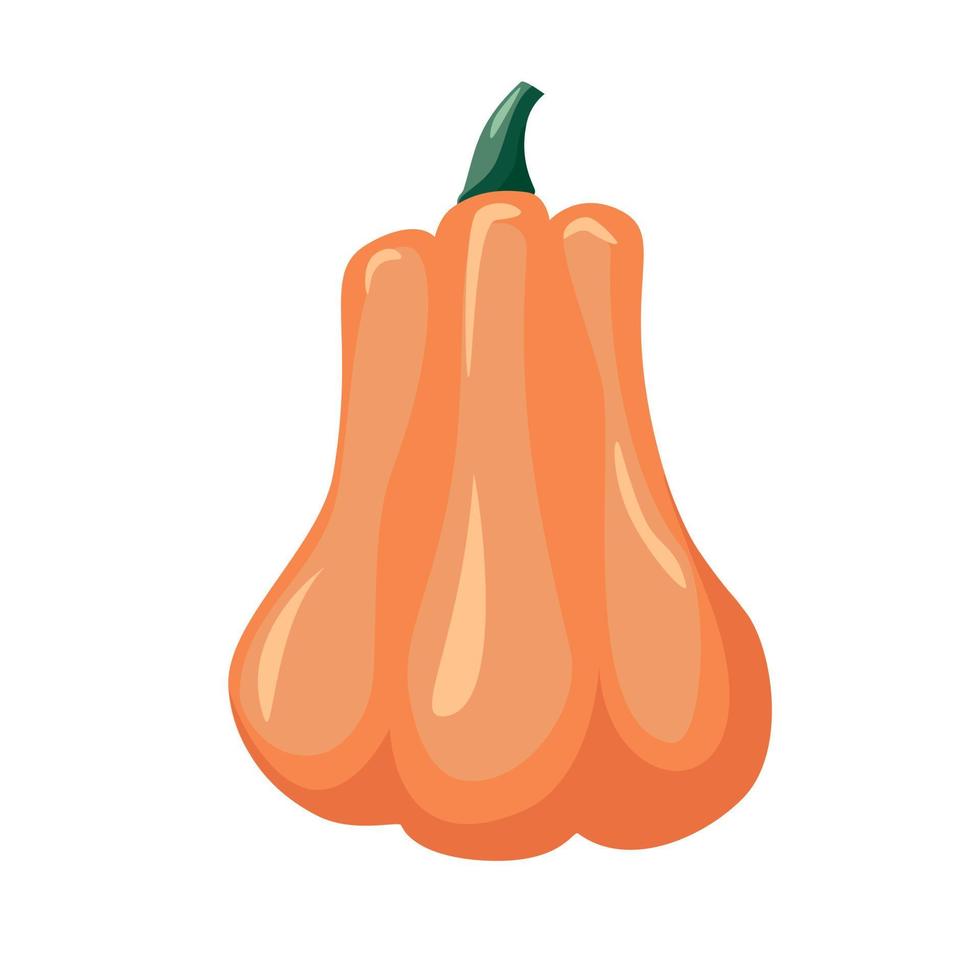 Calabaza colorida sobre ilustración de vector de fondo blanco