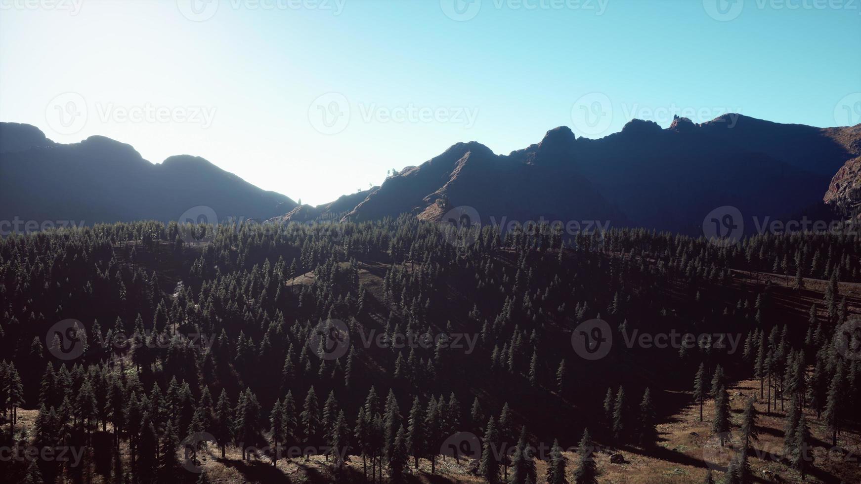 Wide angle shot of mountains landscape with spring forest photo