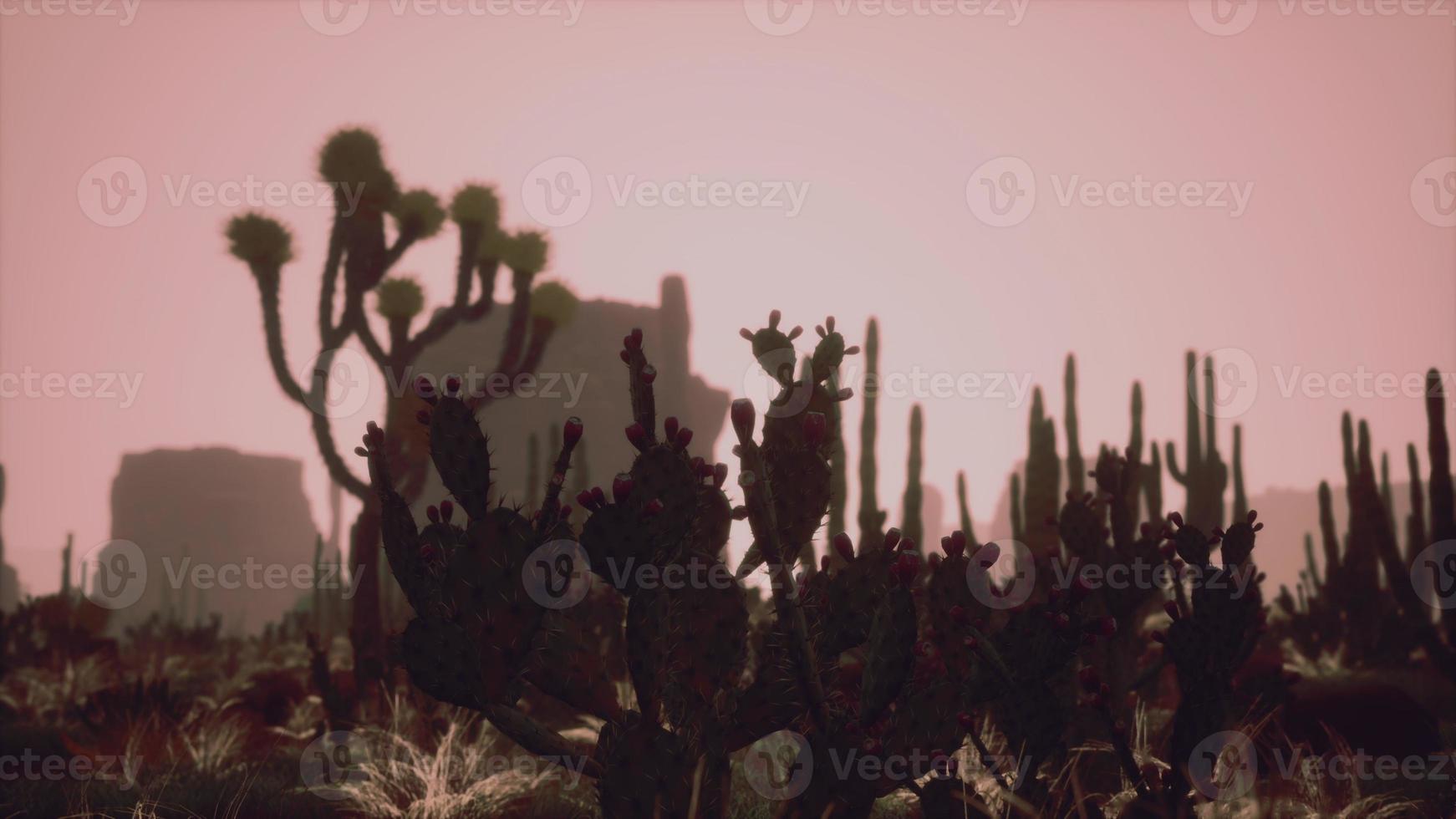 sunlight ray shooting across the desert sky at sunset photo