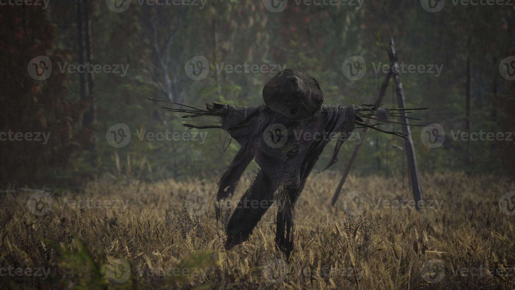 terrible scarecrow in dark cloak and dirty hat stands alone in autumn field photo