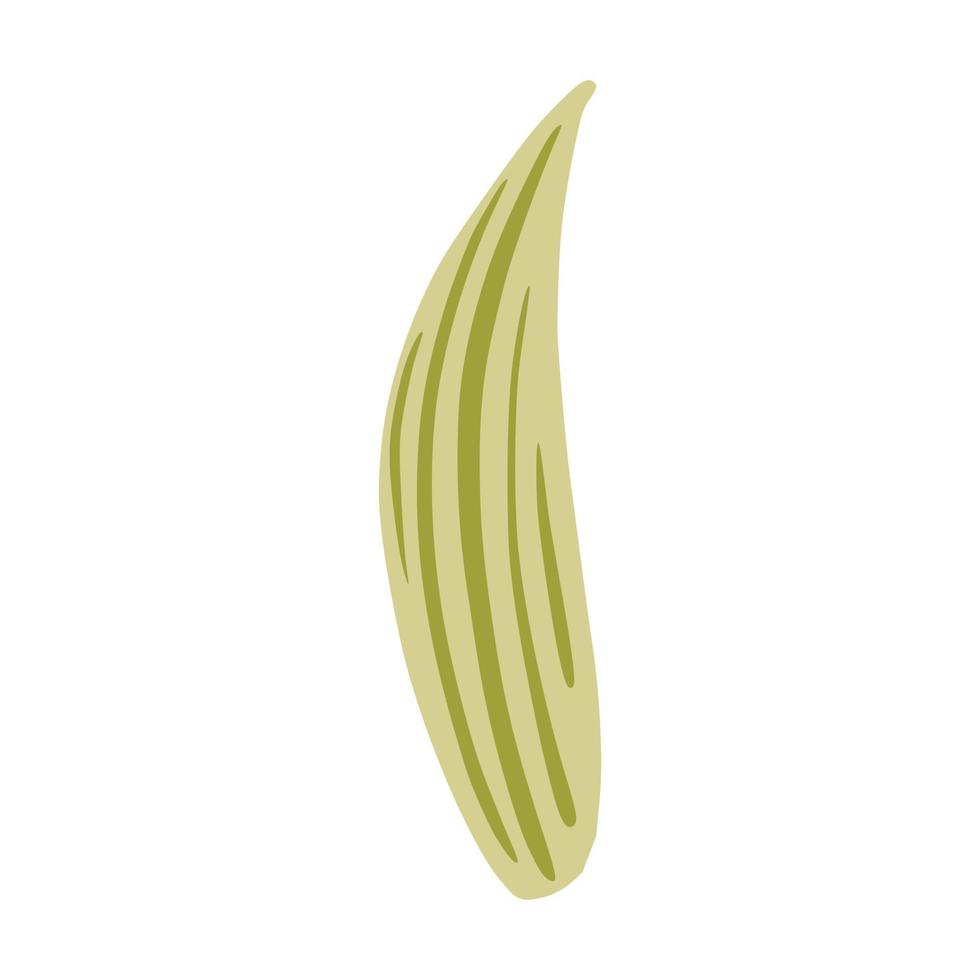 Leaf of may-lily isolated on white background. Beautiful hand drawn botanical sketch for any purpose. vector