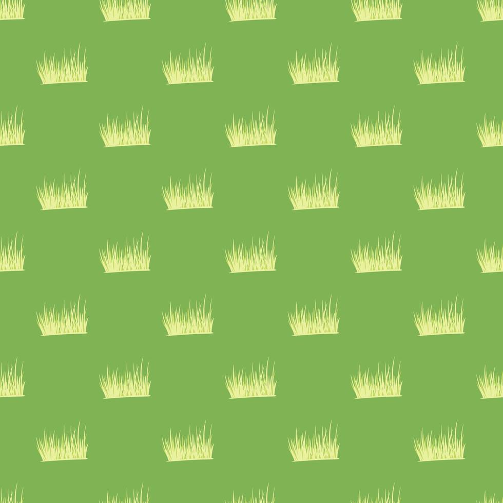 patrón sin costuras de hierba. fondo de césped. vector