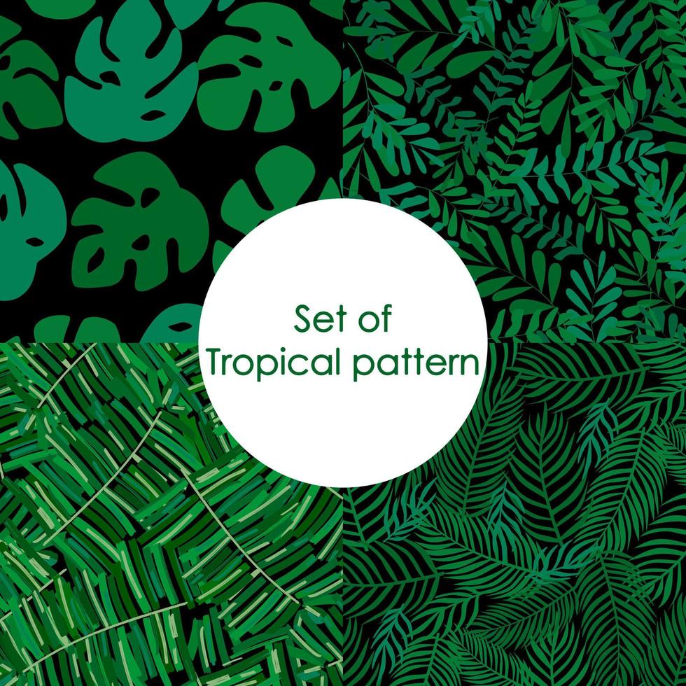 Set of tropical pattern, palm leaves seamless vector floral background. Exotic plant on print illustration.