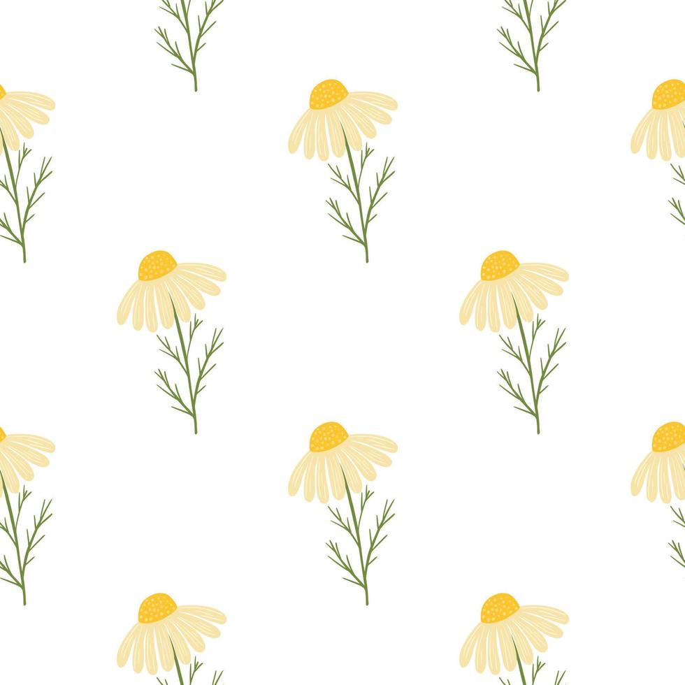 Vintage floral seamless pattern with yellow cute daisy flowers print. Isolated natural ornament. vector