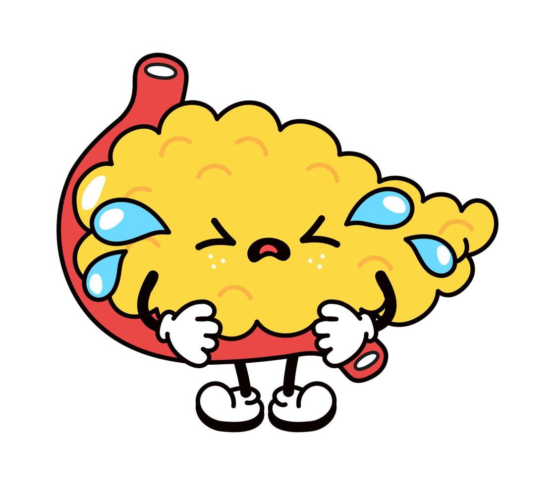 Cute funny crying sad pancreas character. Vector hand drawn traditional cartoon vintage, retro, kawaii character illustration icon. Isolated on white background. Cry pancreas character concept