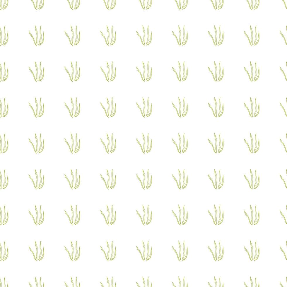 Tropical doodle grasss seamless pattern isolated on white background. vector