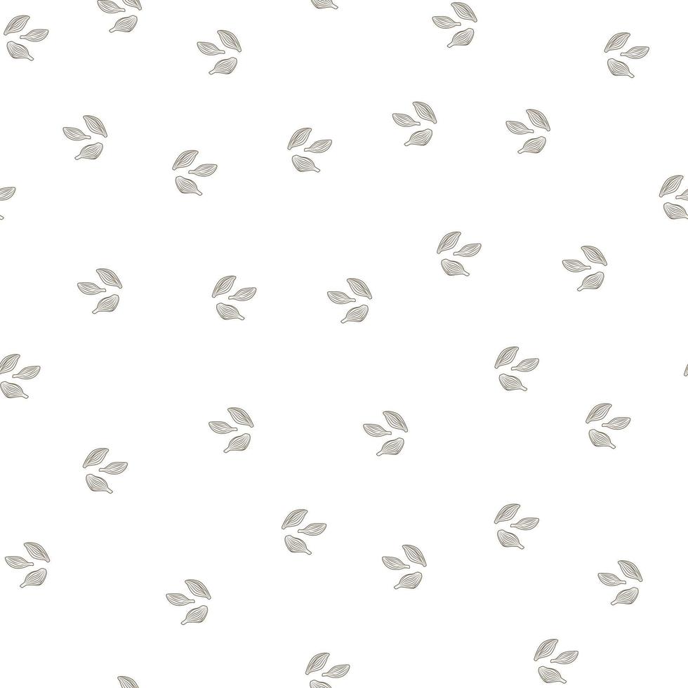 Seamless pattern cardamom on white background. Cute plant sketch ornament. Random texture template for fabric. vector