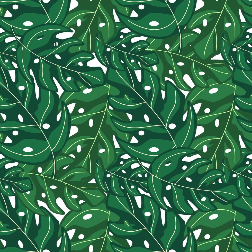 monstera tropical deja un patrón de repetición sin costuras. planta exótica. vector