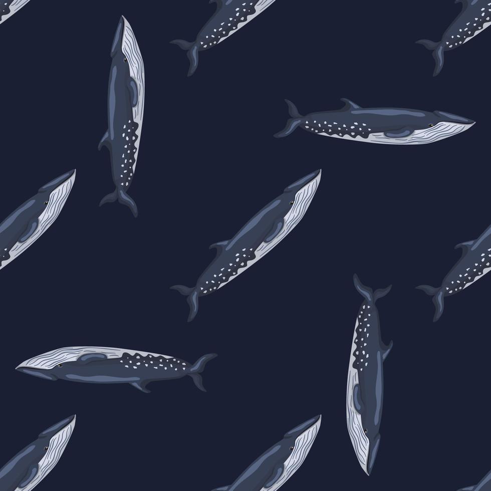 ballena sei de patrones sin fisuras sobre fondo negro. plantilla de personaje de dibujos animados del océano para tela. vector
