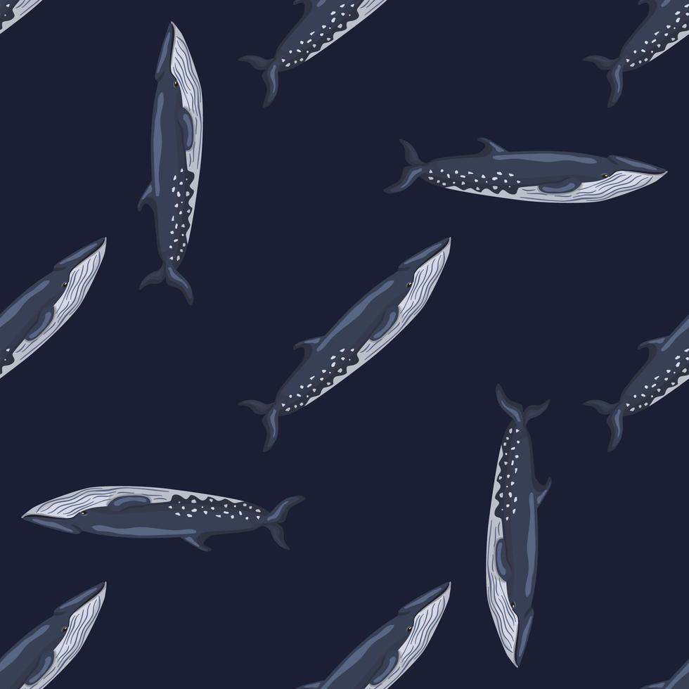 Seamless pattern sei whale on black background. Template of cartoon character of ocean for fabric. vector