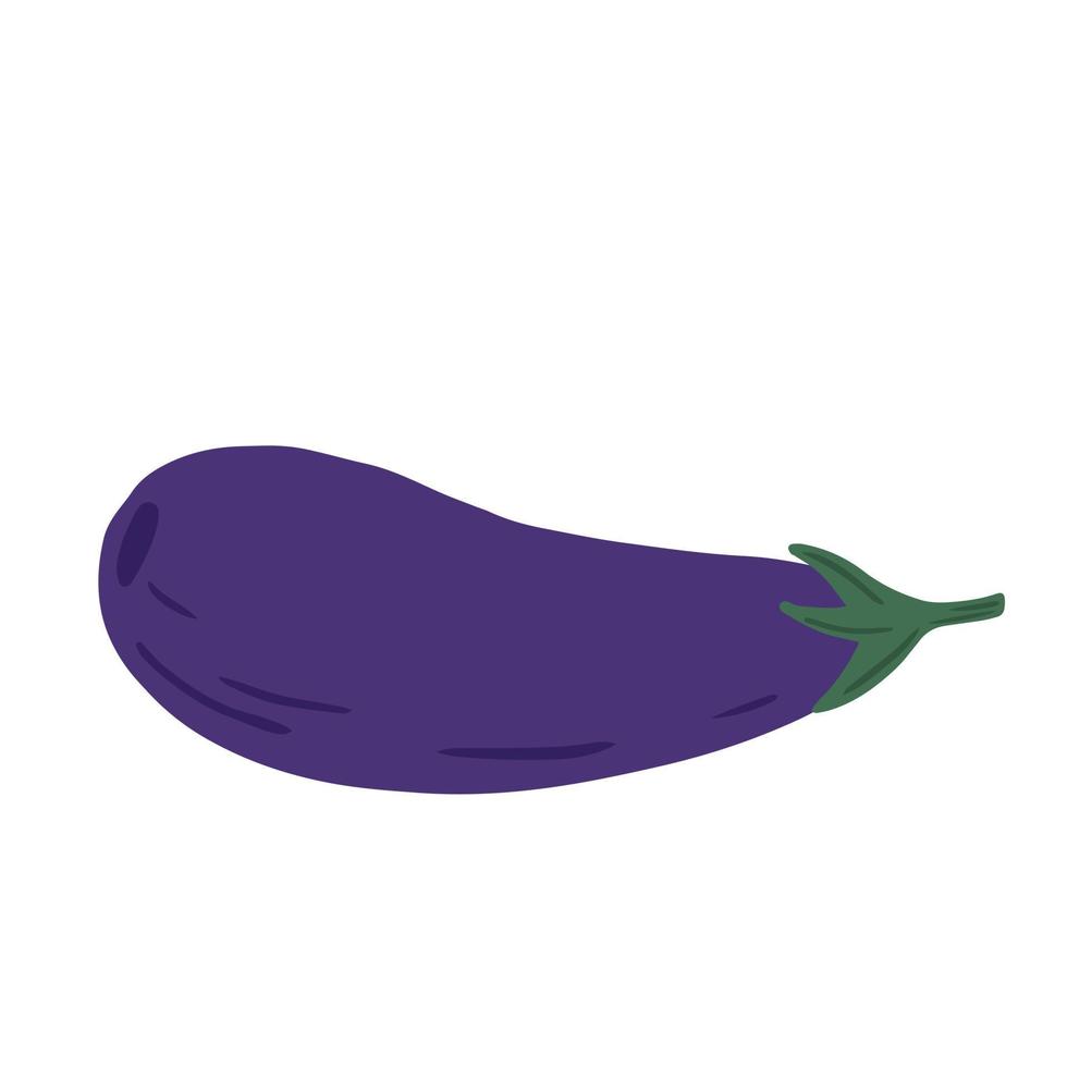 Eggplant isolated on white background. Hand drawn aubergine vegetable. vector