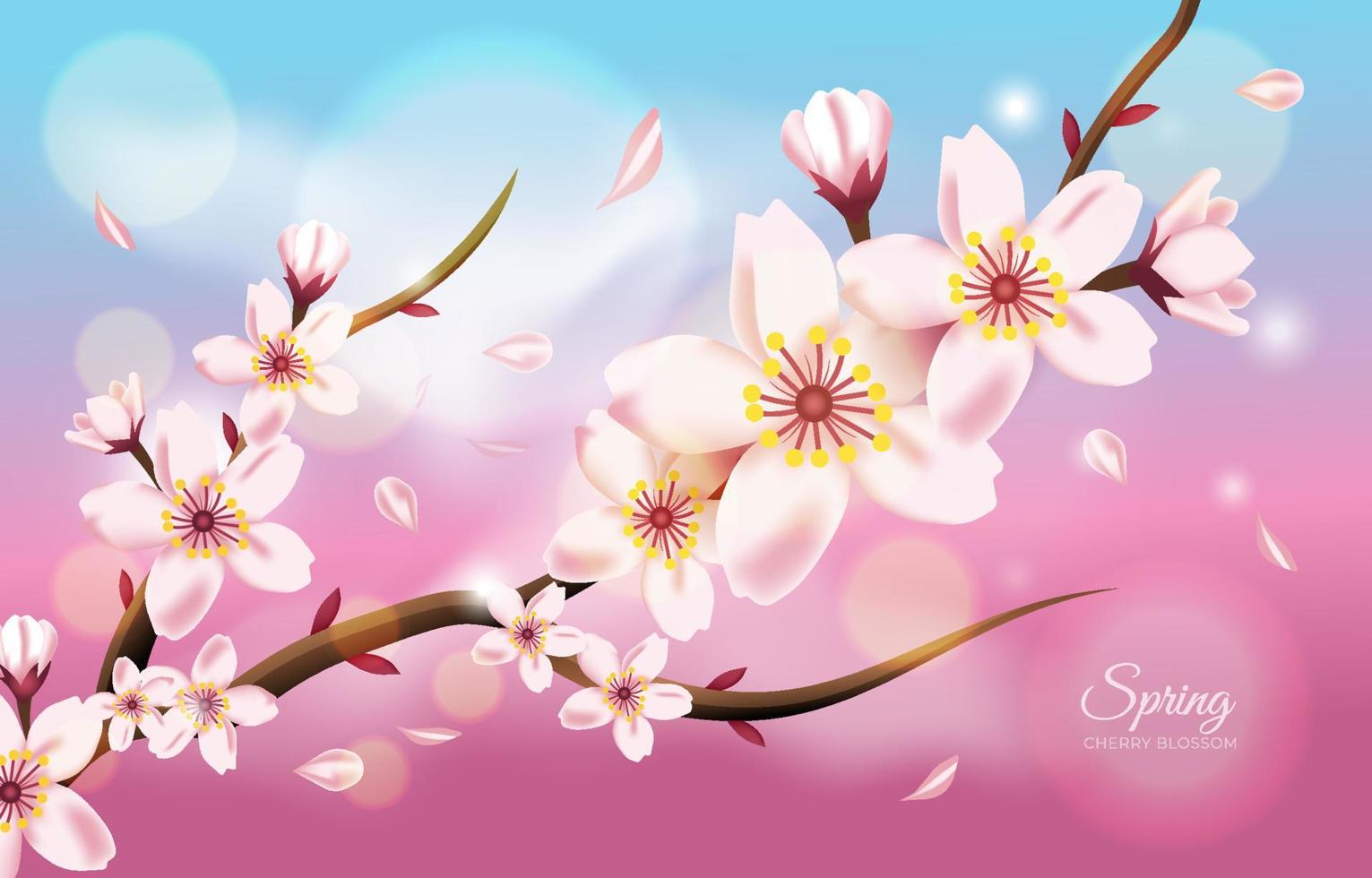 Realistic Spring Cherry Blossom Background vector