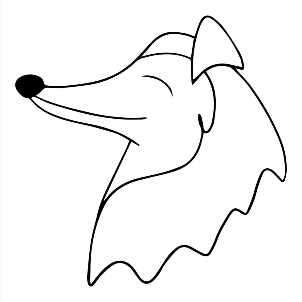 Vector portrait of a collie dog in doodle cartoon style. Pet illustration in line art style