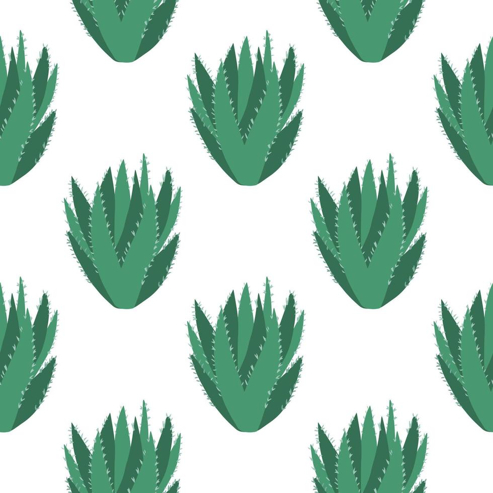 Aloe cacti wallpaper. Abstract cactus seamless pattern on white background. vector