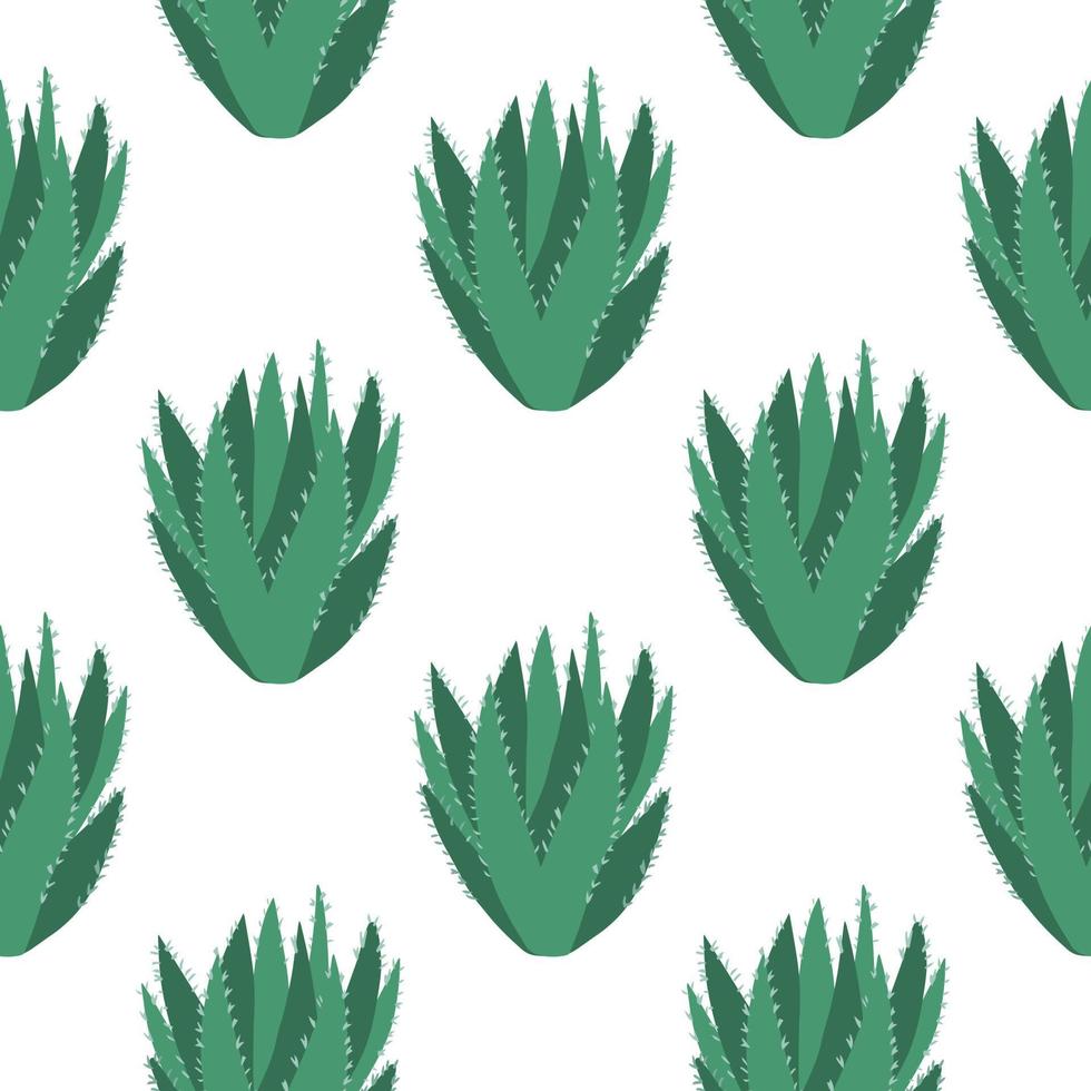 Aloe cacti wallpaper. Abstract cactus seamless pattern on white background. vector