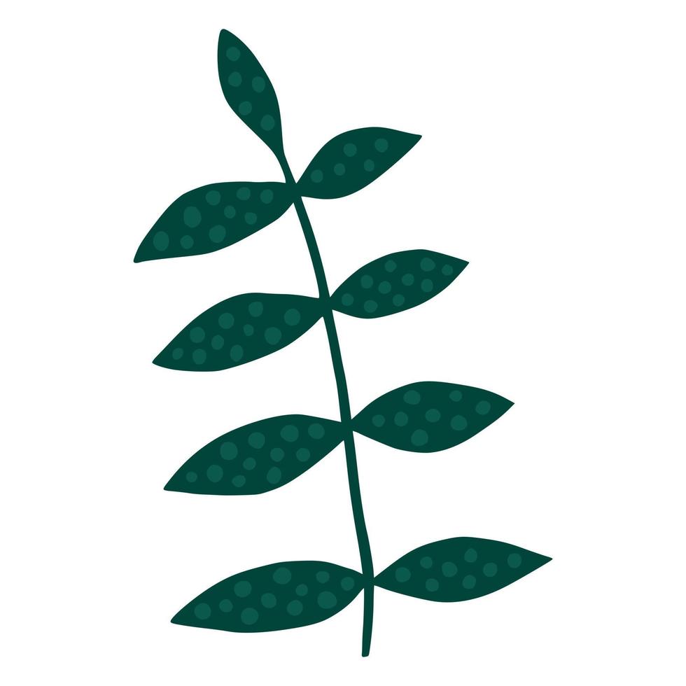 Hand drawn branch with leaves. vector
