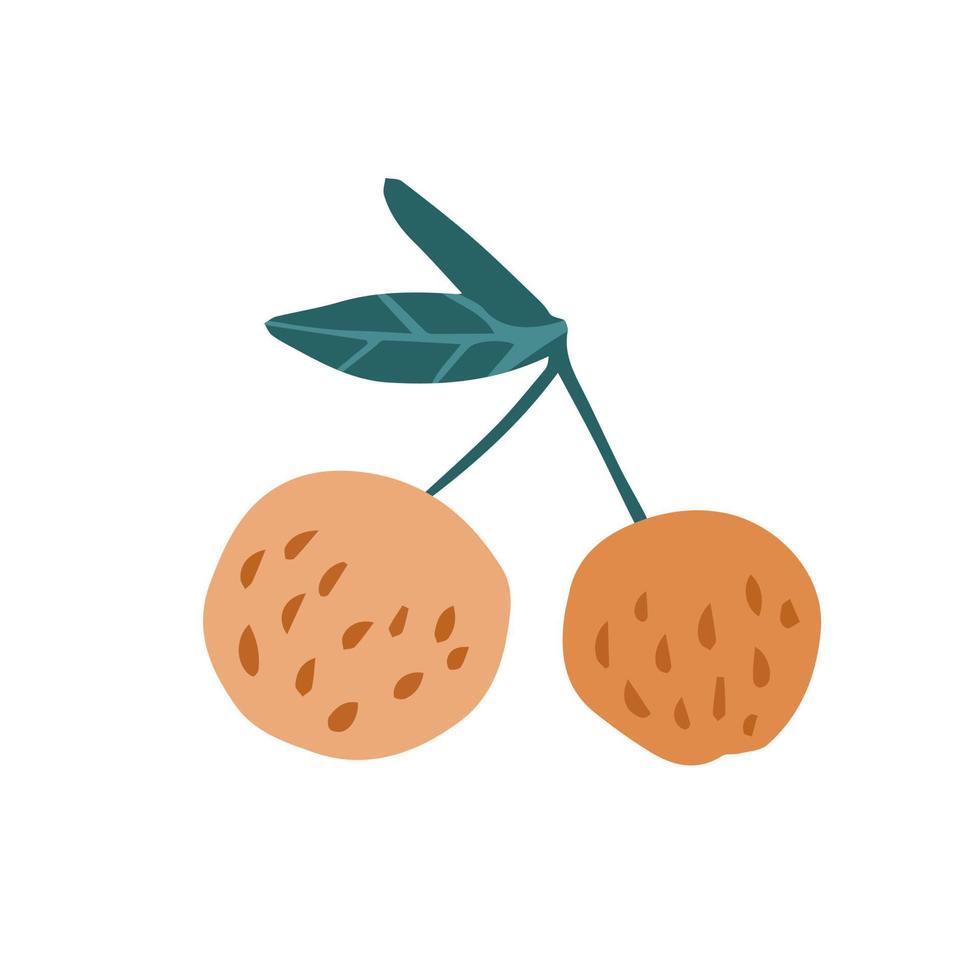 lindas manzanas divertidas en estilo garabato aisladas en fondo blanco. fruta de verano orgánica fresca dibujada a mano. vector