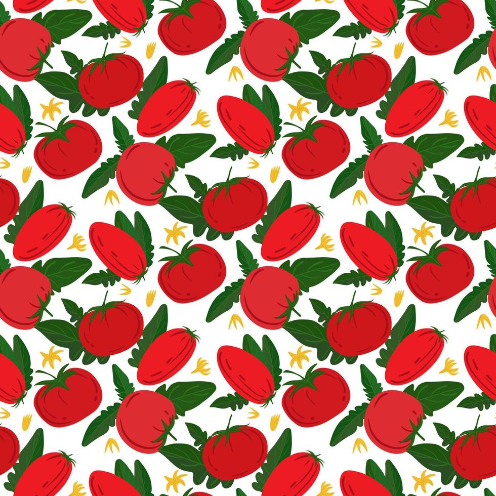 Seamless pattern with red tomatoes on white background. vector