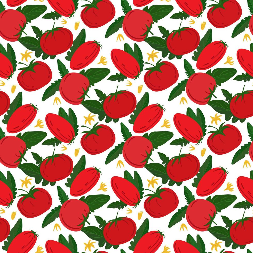 Seamless pattern with red tomatoes on white background. vector