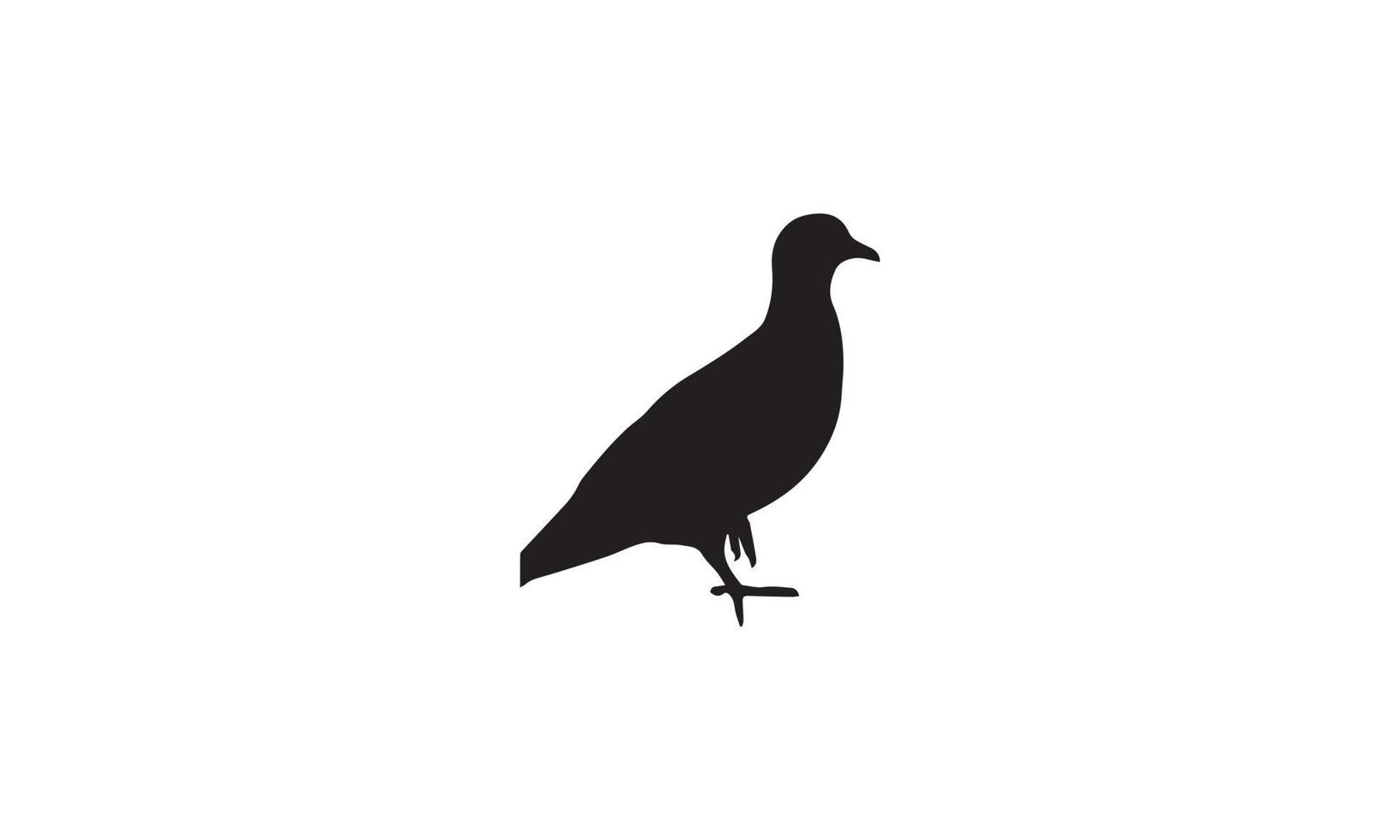 diseño de ilustración de vector de paloma en blanco y negro