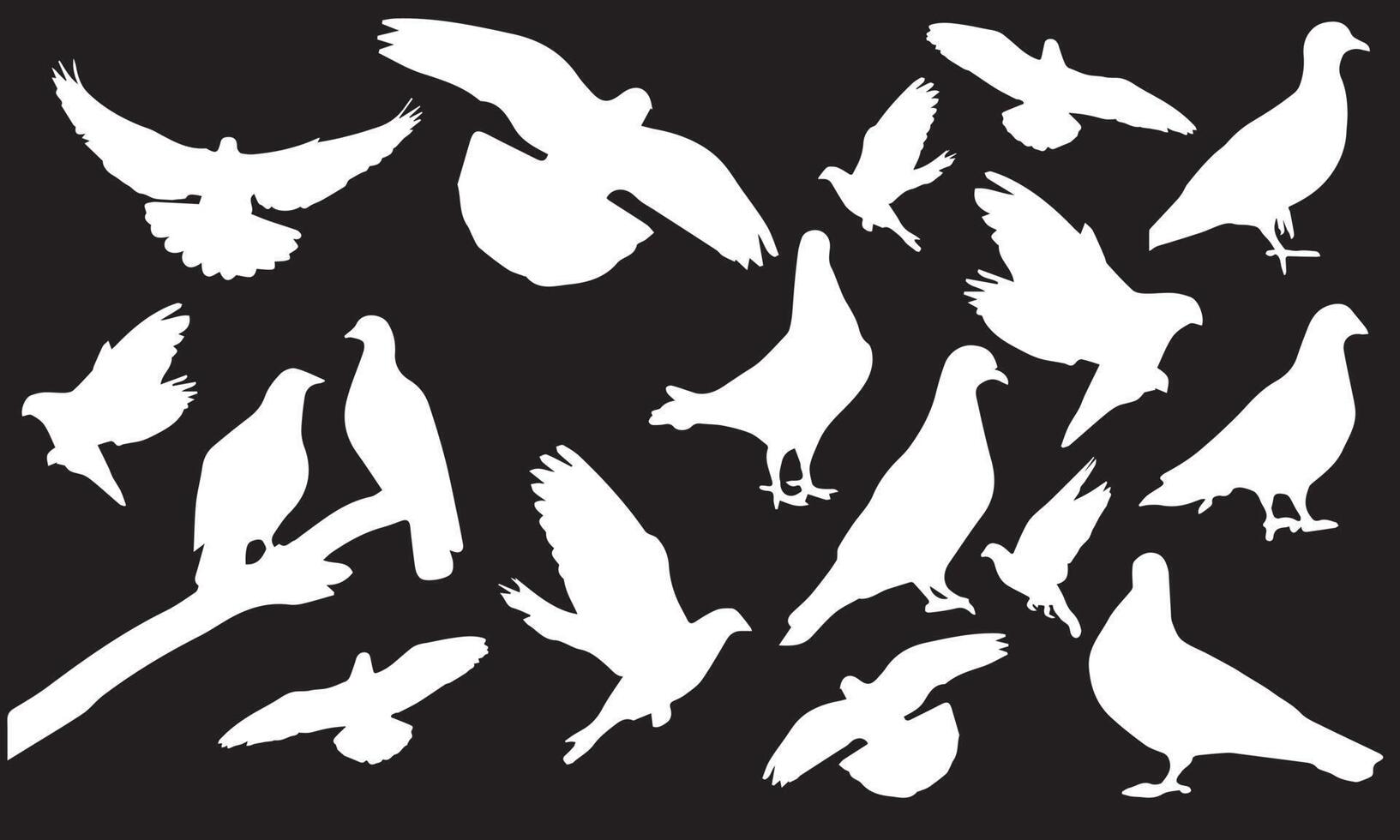 pigeon vector illustration design black and white collection