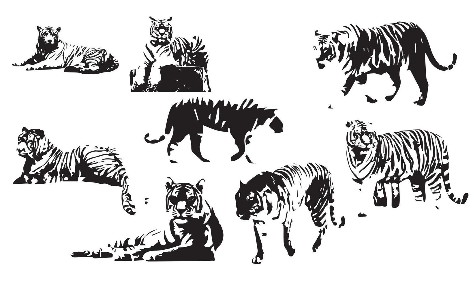 tiger vector illustration design black and white collection