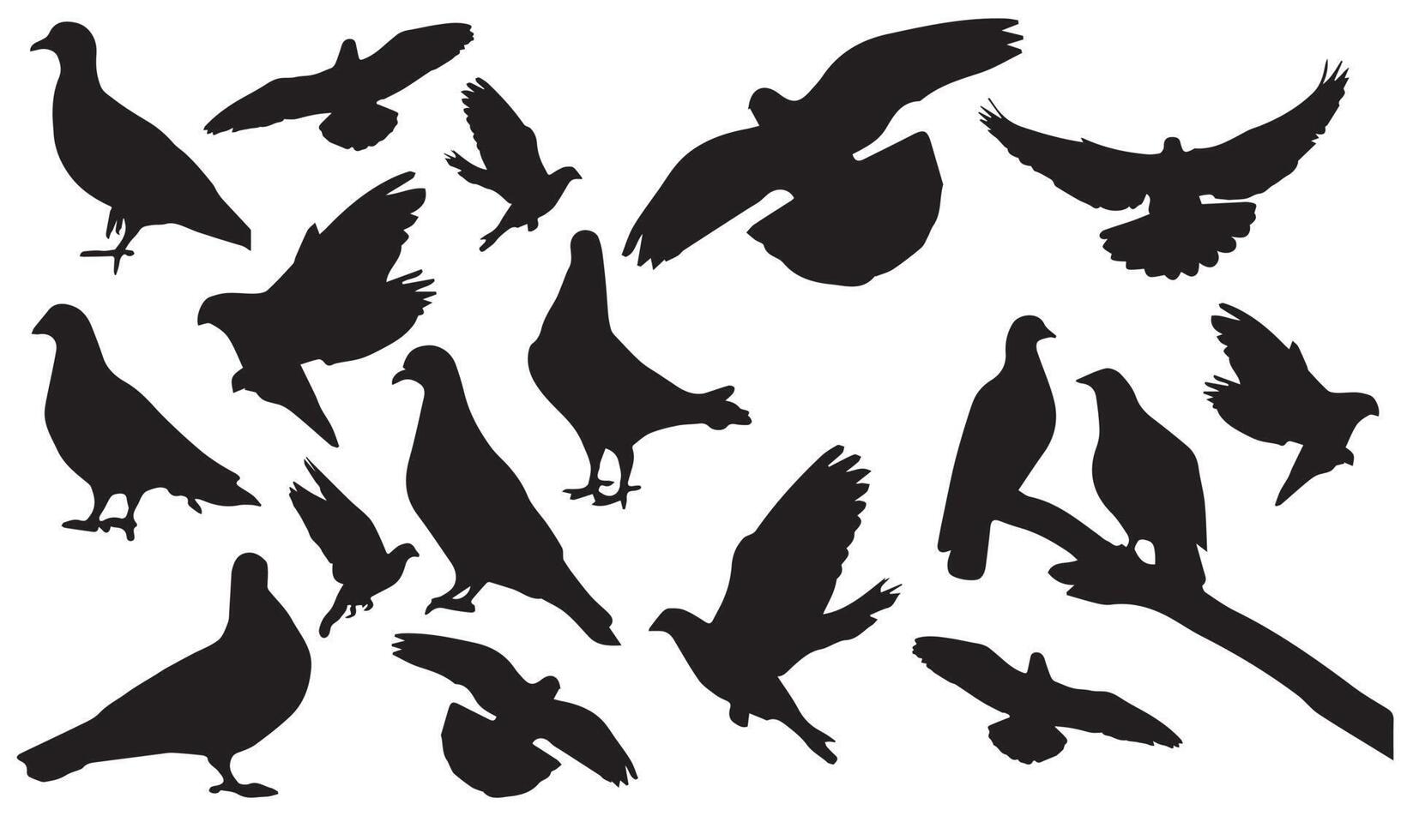 pigeon vector illustration design black and white collection