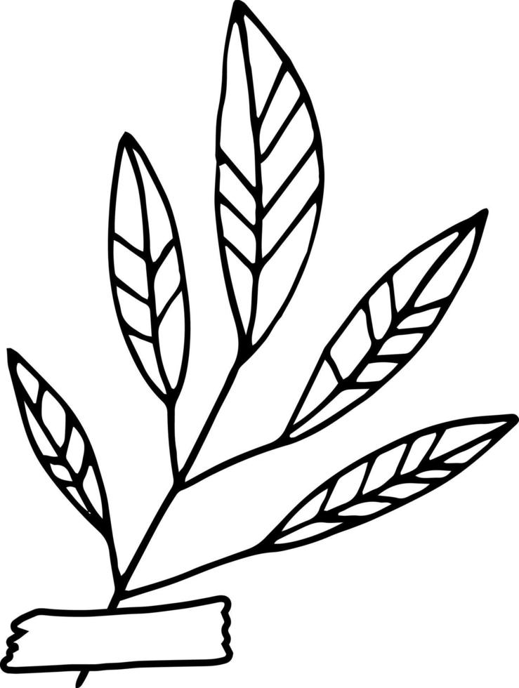 abstract leaves glued with tape icon. hand drawn doodle. , scandinavian, nordic, minimalism, monochrome. plant, herbarium, scrapbooking. vector