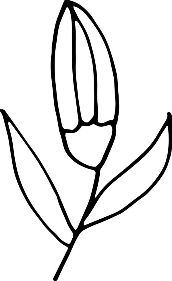 abstract flower icon. hand drawn doodle. , scandinavian, nordic, minimalism, monochrome. plant, herbarium. vector