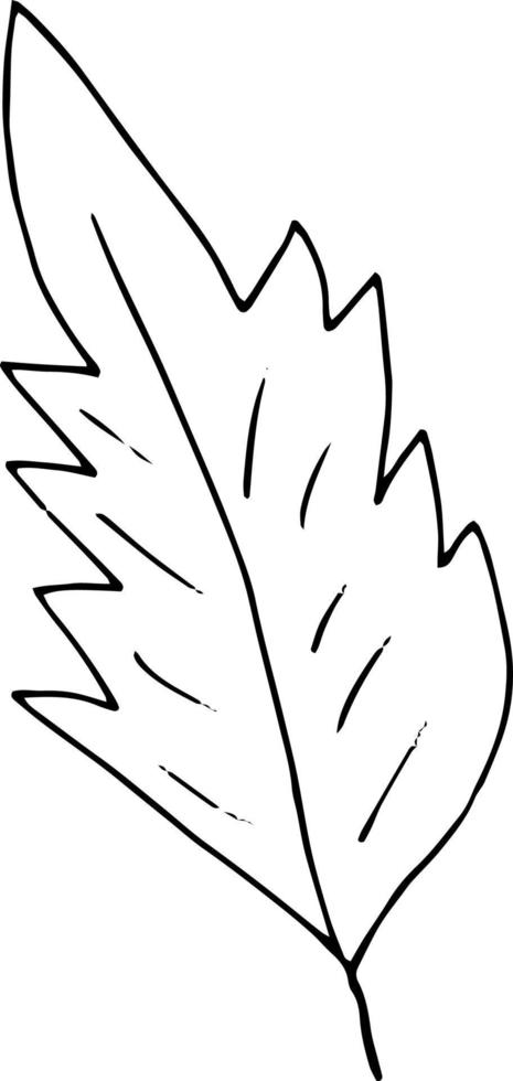 icono de hojas abstractas. garabato dibujado a mano. , escandinavo, nórdico, minimalismo, monocromo. planta, herbario. vector