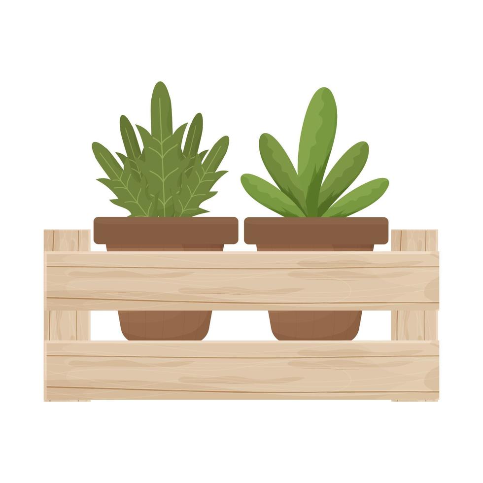 caja texturizada de madera con macetas en elegante estilo escandinavo aislado en ilustración de vector de stock de fondo blanco. floristería decoración, jardinería, siembra. ilustración vectorial